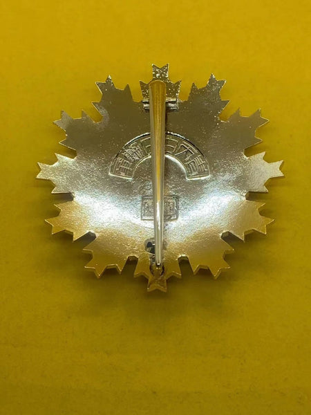 Chinese CHINA-REPUBLIC Order of Blue Sky and White Sun Breast star Badge 1945 WW2 Replica copy