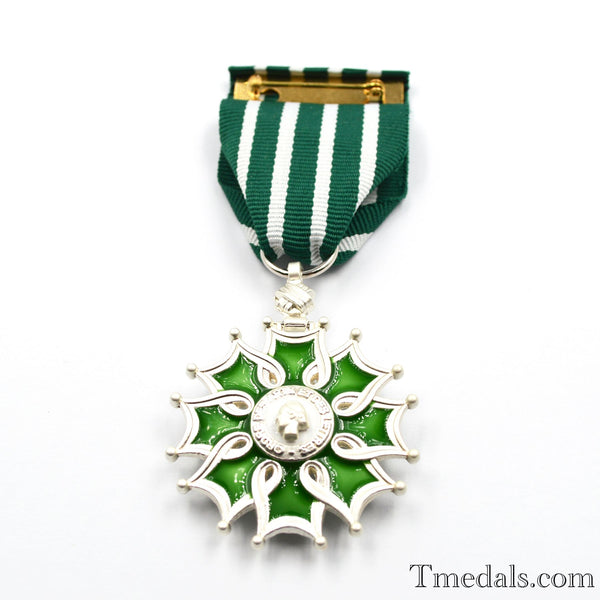 France French Order of the Arts and the Letters Knight degree Replica