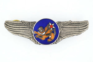 U.S. USA WW12 14TH AIR FORCE WINGS BADGE PIN FLYING TIGERS ENAMEL BADGE Rare