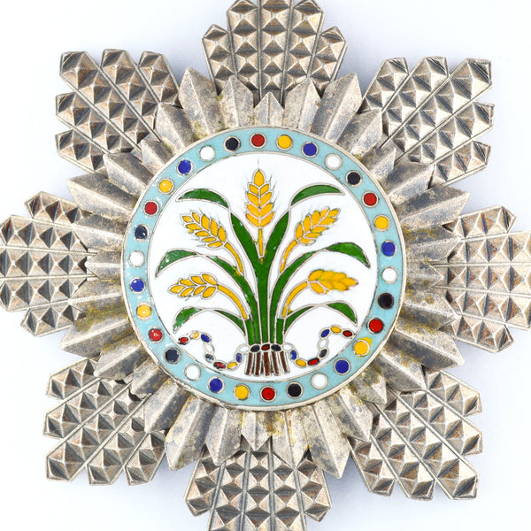 China Republic, the Order Of The Golden Grain, second Class, Breast star, Replica