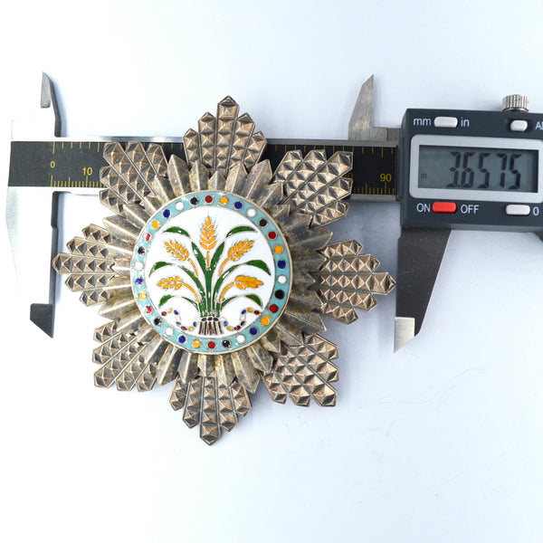 China Republic, the Order Of The Golden Grain, second Class, Breast star, Replica