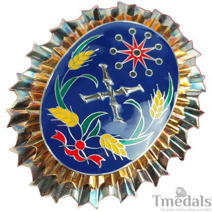 Republic of China Army Officer Academy Badge Warlord Era Replica Sterling Silver Replica
