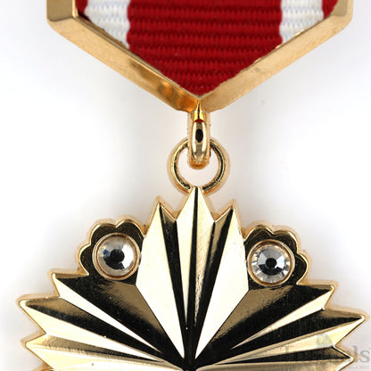Hero of the Mongolian People's Republic CCCP Sovet Union Medal Order Russian Replica