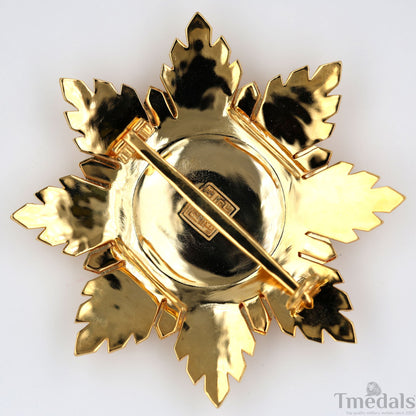 China Republic Qing Dynasty Order of the blue dragon 青龍勛章 Brest Star replica