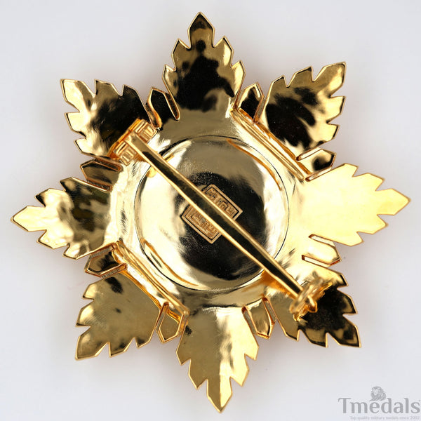 China Republic Qing Dynasty Order of the blue dragon 青龍勛章 Brest Star replica
