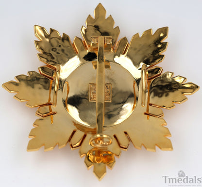China Republic Qing Dynasty Order of the blue dragon 青龍勛章 Brest Star replica