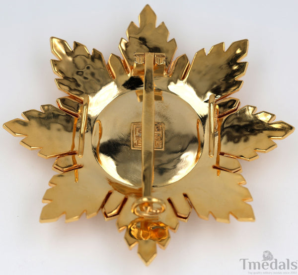 China Republic Qing Dynasty Order of the blue dragon 青龍勛章 Brest Star replica