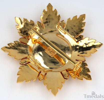 China Republic Qing Dynasty Order of the blue dragon 青龍勛章 Brest Star replica
