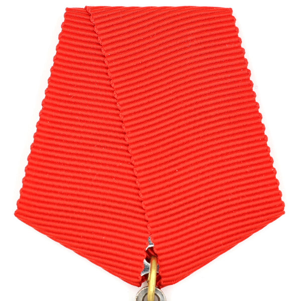 RSFSR “October 1917–1920” 3rd Anniversary Medal Soviet Russia Replica A104