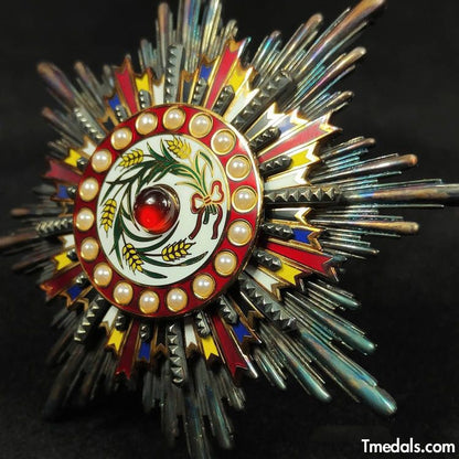 China Medal Order of the Precious Brilliant Golden Grain 2class grade breast star repro replica copy