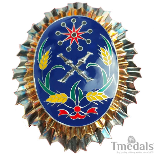 Republic of China Army Officer Academy Badge Warlord Era Replica Sterling Silver Replica