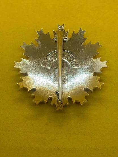 Chinese CHINA-REPUBLIC Order of Blue Sky and White Sun Breast star Badge 1945 WW2 Replica copy