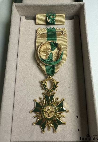 National Order of Niger officer version chest ribbon ribbon bar box medal rare