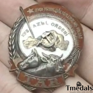 Order of Labor of the Tuvan - 925 Silver - Real Enamel Soviet Medal Replica Rare