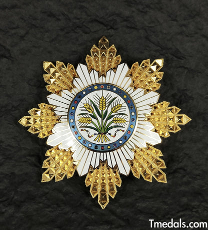 China Republic, the Order Of The Golden Grain, first Class, Breast star, Replica