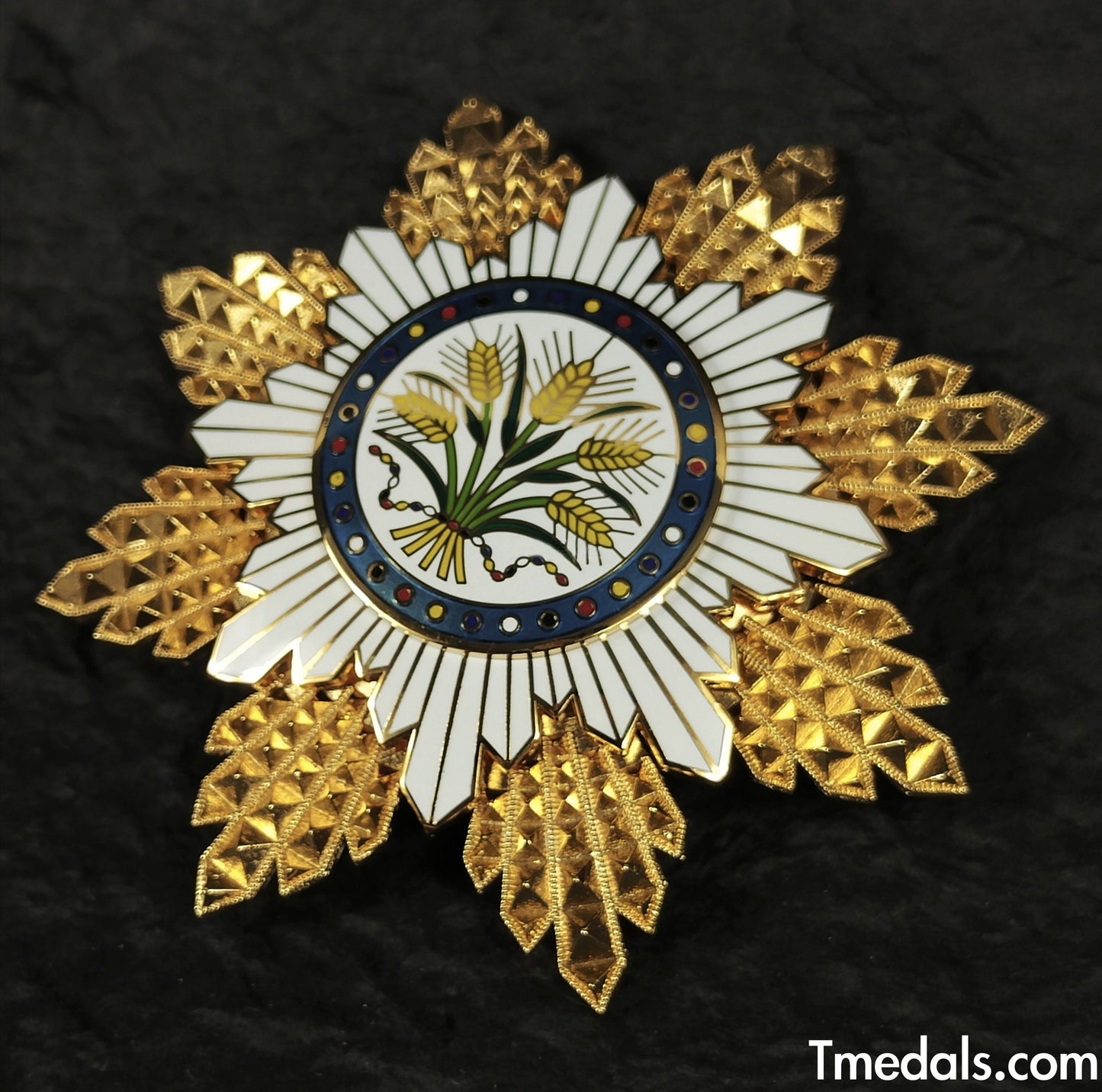 China Republic, the Order Of The Golden Grain, first Class, Breast star, Replica