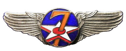 WWII WW2 U.S. ARMY 7th AIR FORCE WINGS BADGE PIN Medal real ENAMEL