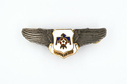 WWII U.S. ARMY THUNDEBIRDS AIR FORCE WINGS BADGE PIN Medal Order ENAMEL